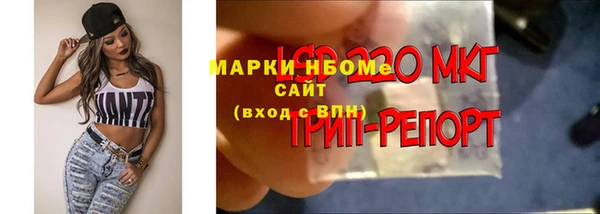 таблы Алзамай
