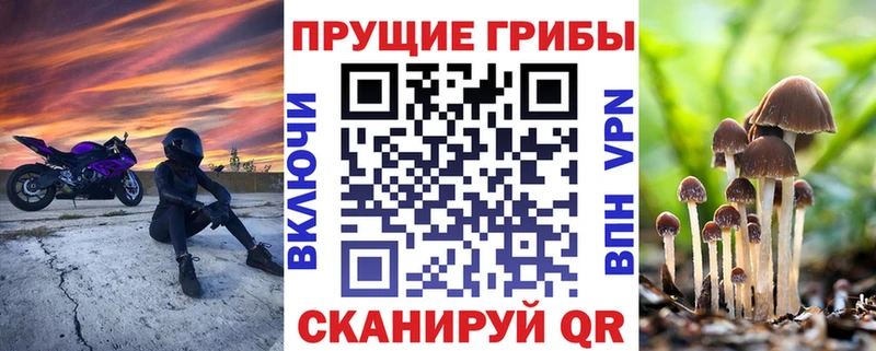 Галлюциногенные грибы GOLDEN TEACHER  Артёмовский 